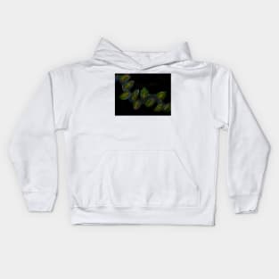 Vine Kids Hoodie